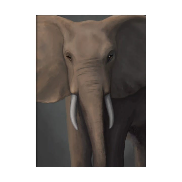 The African Forest Elephant plakat, 30x40 cm Kunskapstavlan®