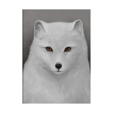 The Arctic Fox plakat - 30x40 cm - Kunskapstavlan®