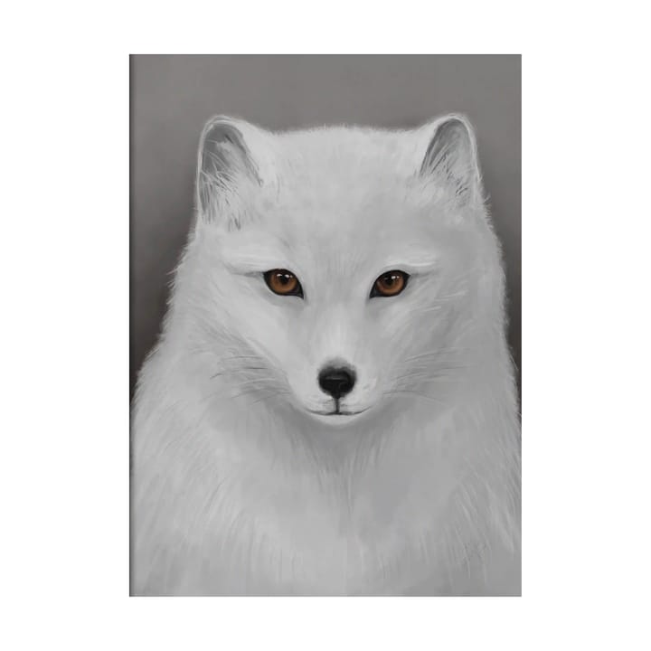 The Arctic Fox plakat, 30x40 cm Kunskapstavlan®