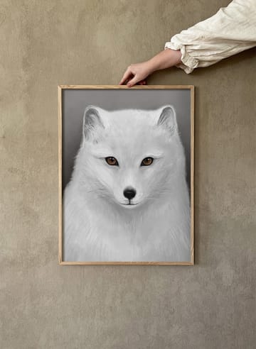 The Arctic Fox plakat - 30x40 cm - Kunskapstavlan®