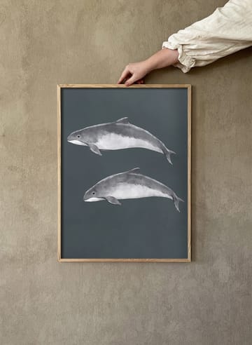 The Baltic Sea Harbour Porpoise plakat - 30x40 cm - Kunskapstavlan®