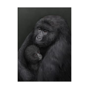 The Mountain Gorilla plakat - 30x40 cm - Kunskapstavlan®