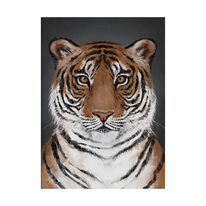 The Tiger plakat, 30x40 cm Kunskapstavlan®