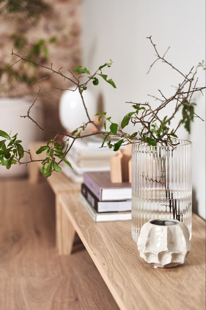 Interiør detaljer i Japandi stil med en glas vase og en simpel grøn gren.