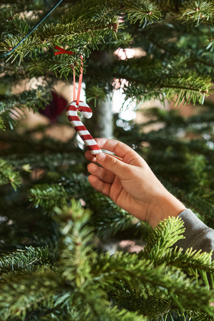 En hånd holder en hængene julestoksdekoration på en grangren.