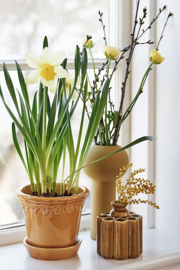 Bergs Potter krukke, Pillar vase fra Cooee Design og en lille potte med forårsblomster som der står i en vindueskarm. 