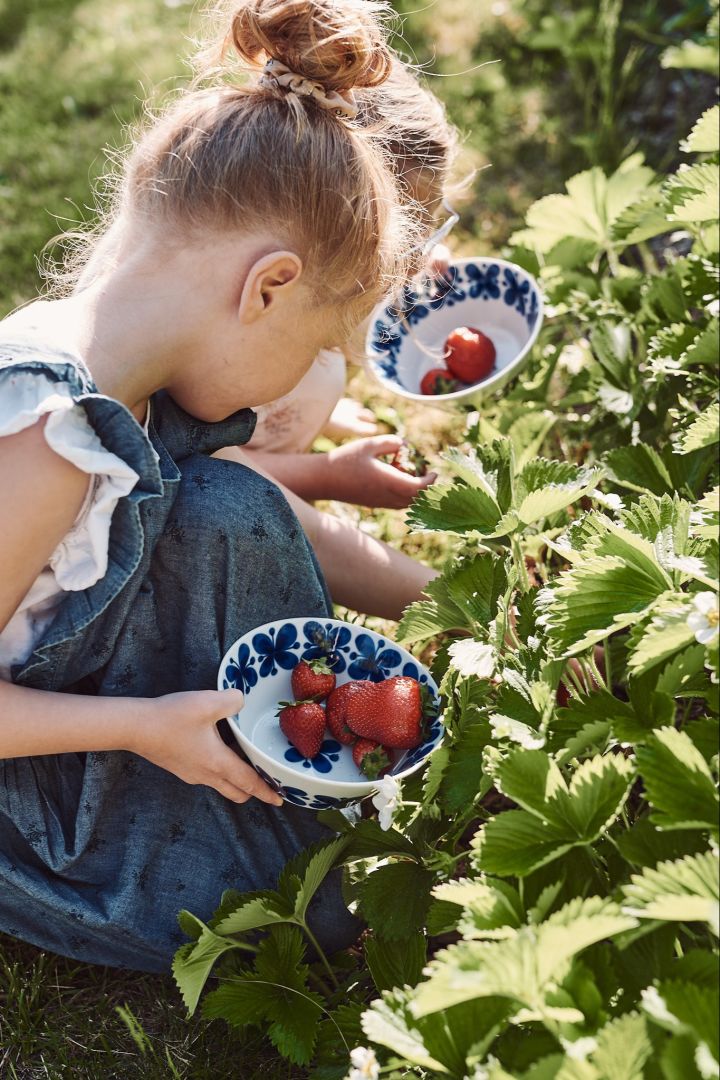 Sommer bucket list tip nummer 14 - Pluk bær med børnene.