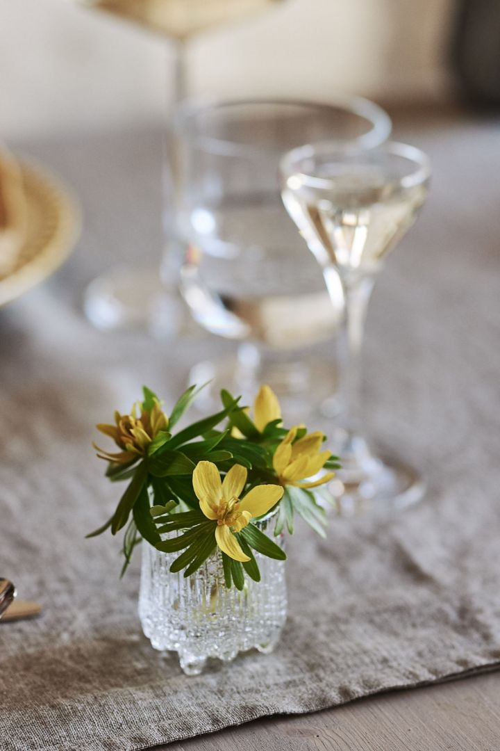 Ultima Thule shotglas med en lille gul blomst i en forårsopdækning.